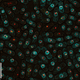 Illustration for article titled OMG These Images of the Sub-Microscopic World Are Amazing